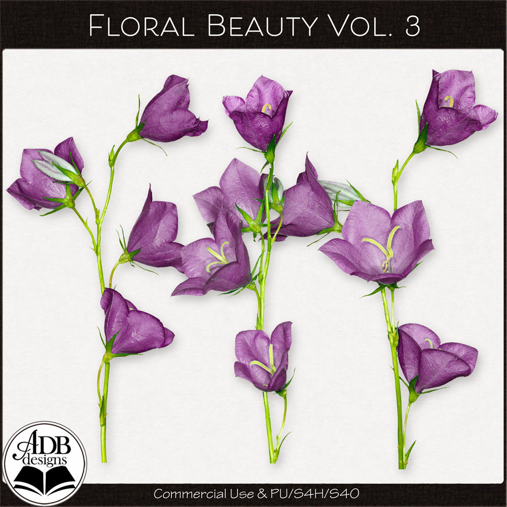 Floral Beauty Vol 03 by ADB Designs CU/PU