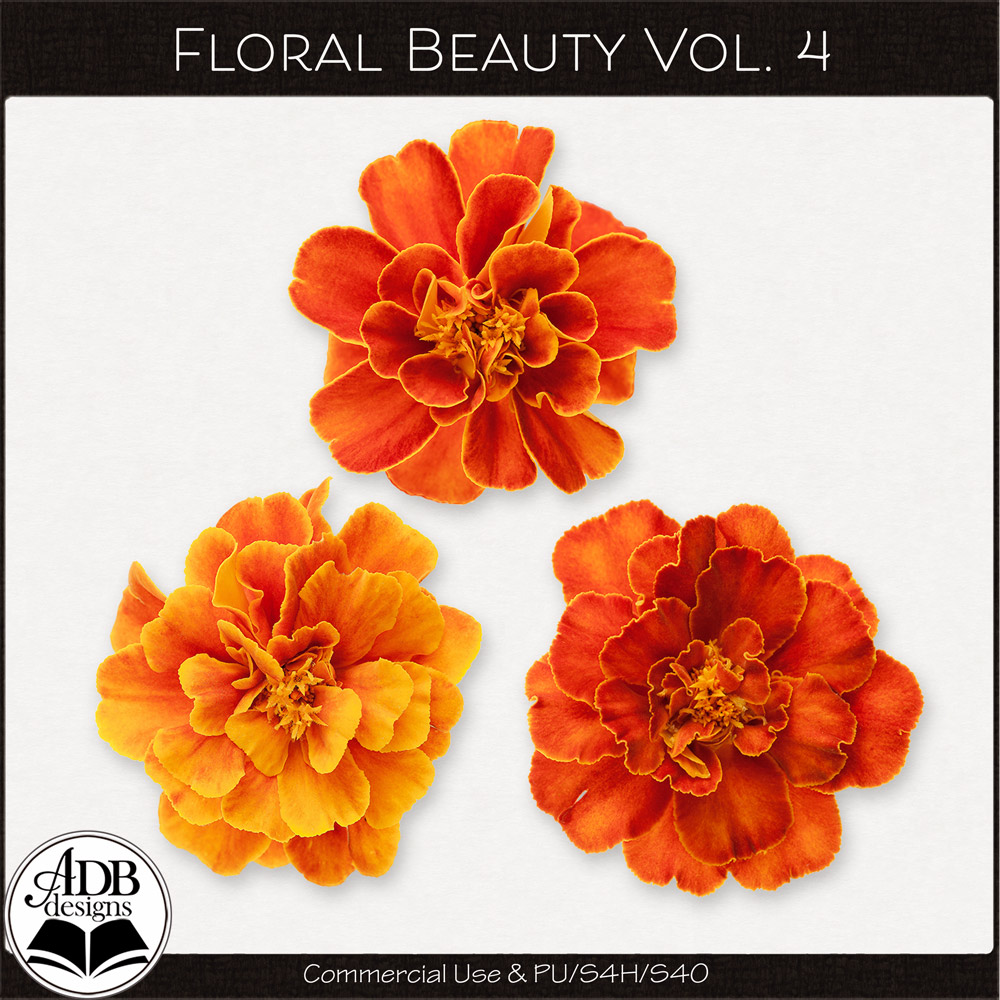 Floral Beauty Vol 04 by ADB Designs CU/PU