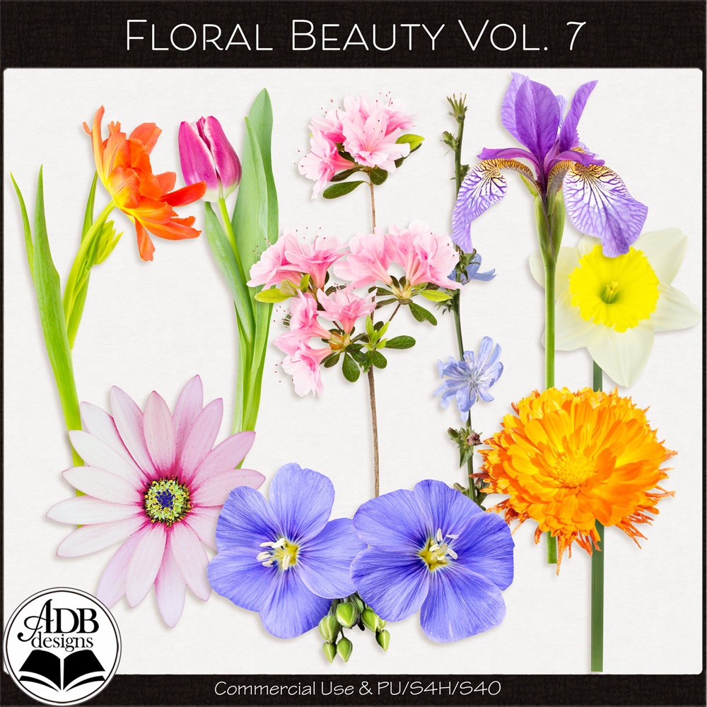 Floral Beauty Vol 07 ADB Designs CU/PU