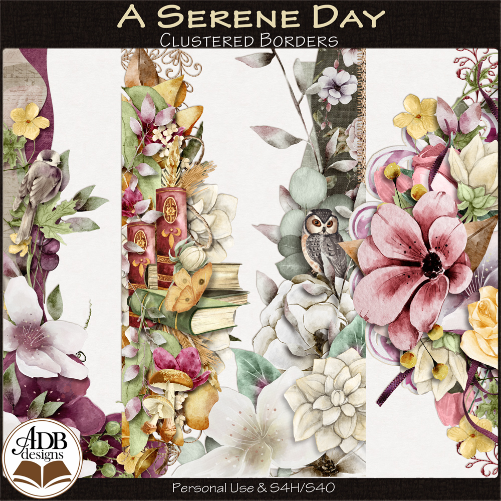 A Serene Day Cluster Borders