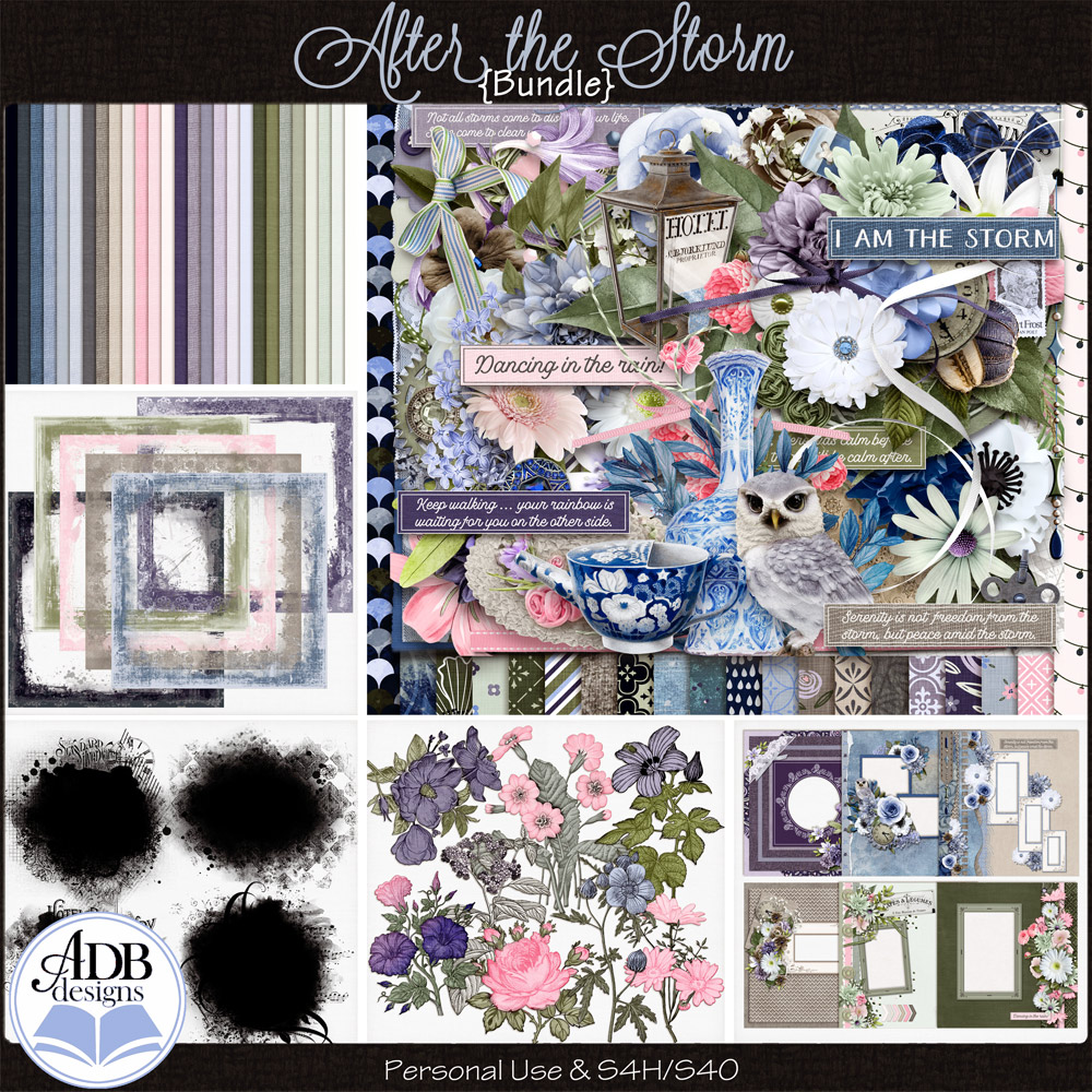 After The Storm Bundle by ADB Designs