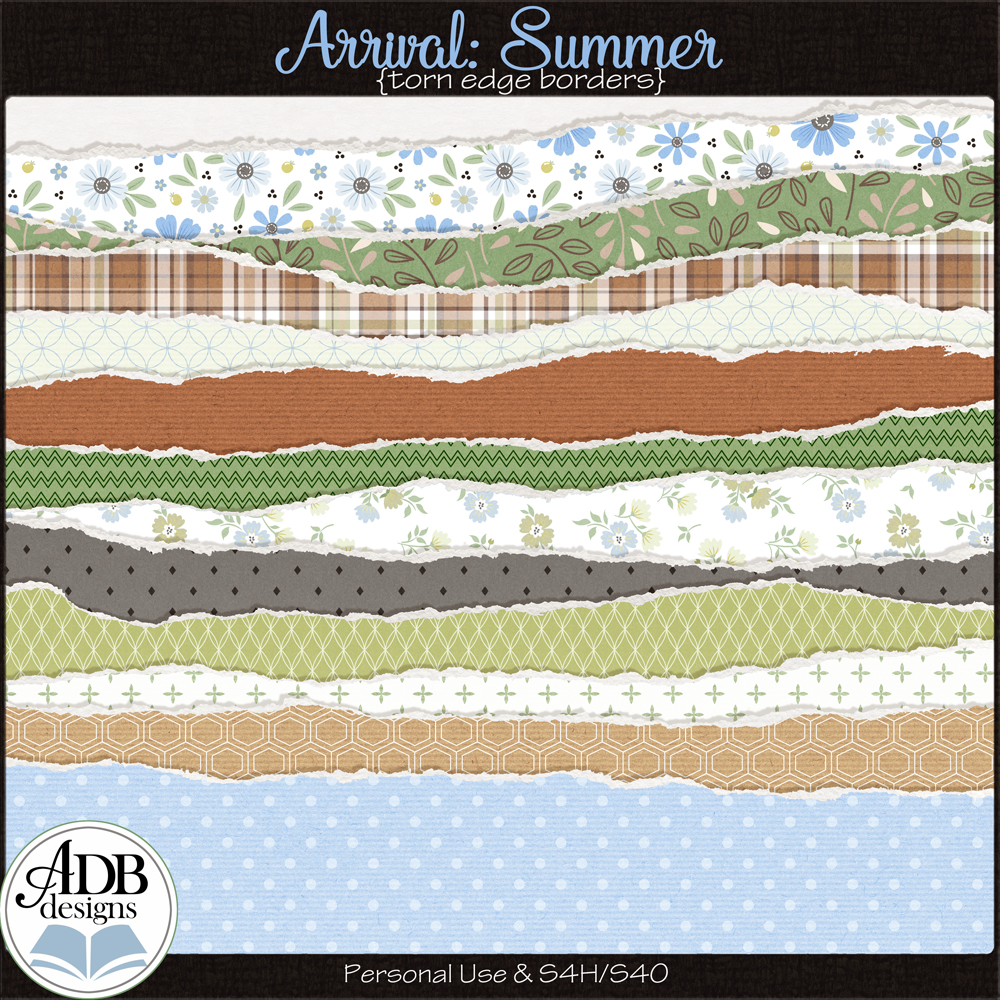 Arrival Summer Torn Edge Borders by ADB Designs