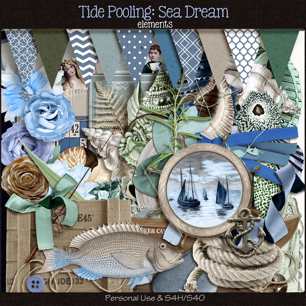 Tide Pooling: Sea Dream Elements by ADB Designs