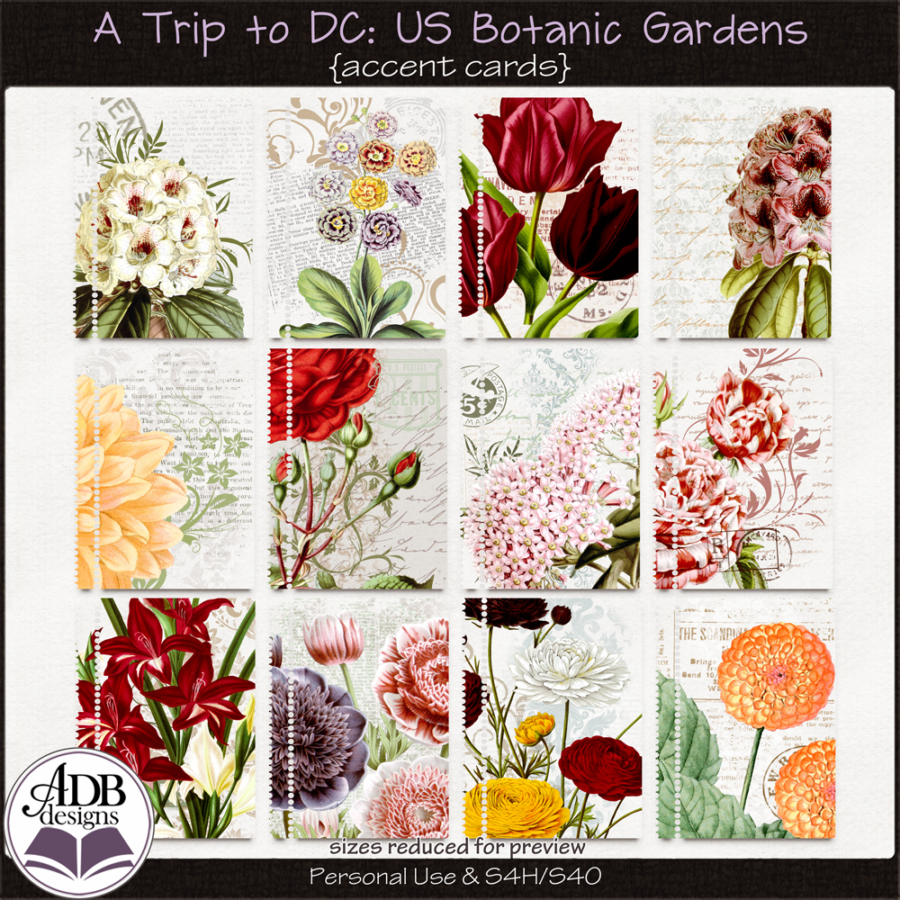 A Trip To DC - U.S. Botanic Garden Accent Cards by ADB Designs