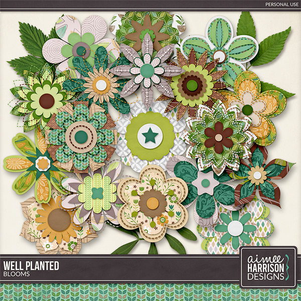 Well Planted Blooms by Aimee Harrison