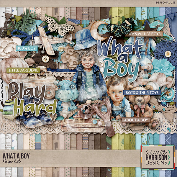 What a Boy Page Kit by Aimee Harrison