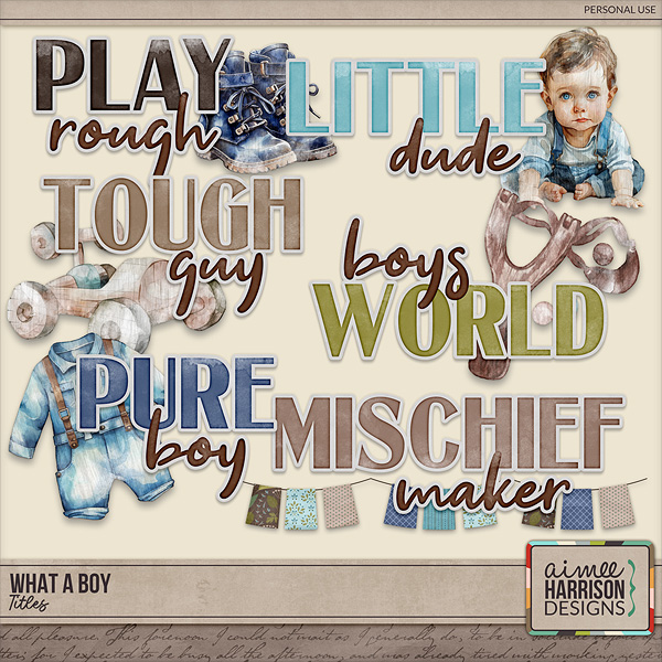 What a Boy Titles by Aimee Harrison