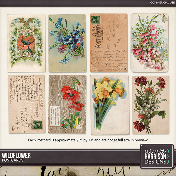 Wildflower Postcards CU by Aimee Harrison