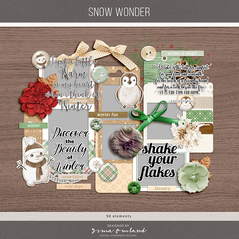 snow wonder | elements