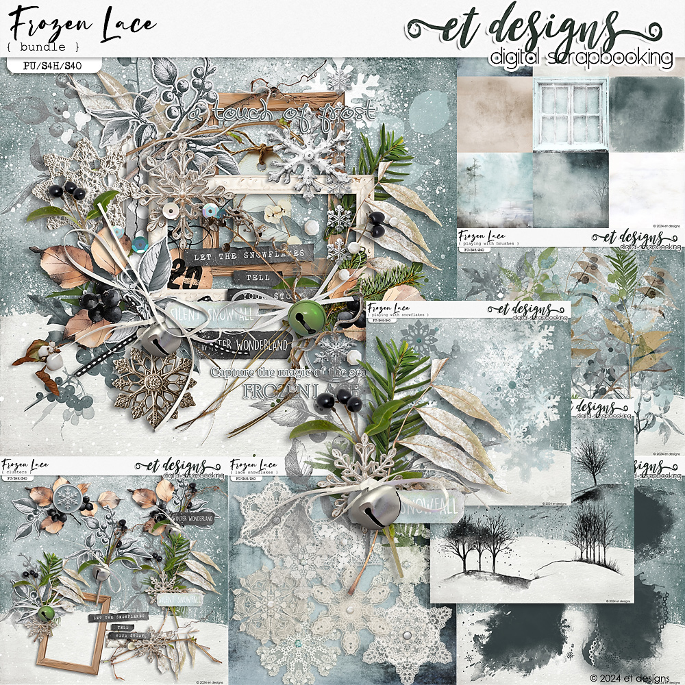 Frozen Lace Bundle by et designs