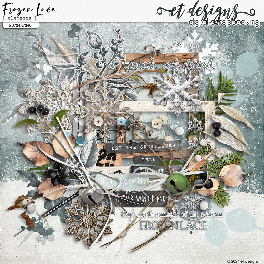 Frozen Lace Kit by et designs