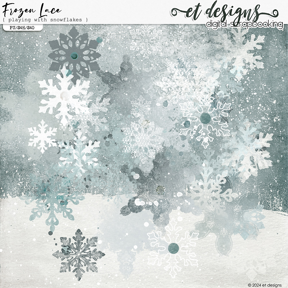 Frozen Lace Playing with Snowflakes by et designs