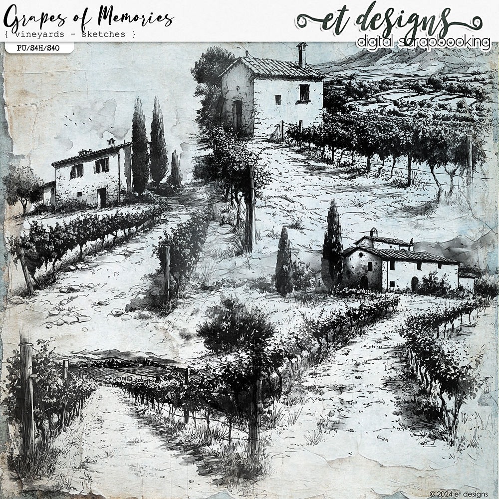 Grapes of Memories Vineyard Sketches by et designs