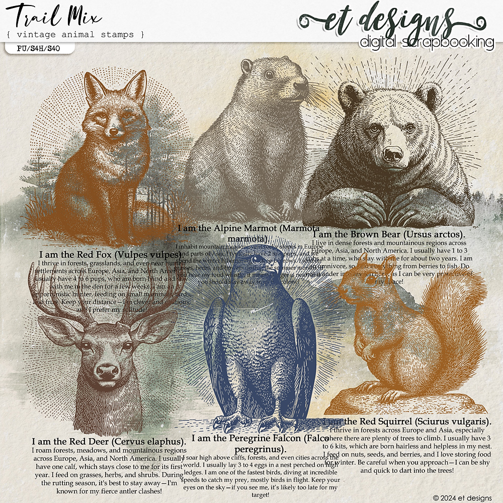 Trail Mix Retro Animal Stamps by et designs