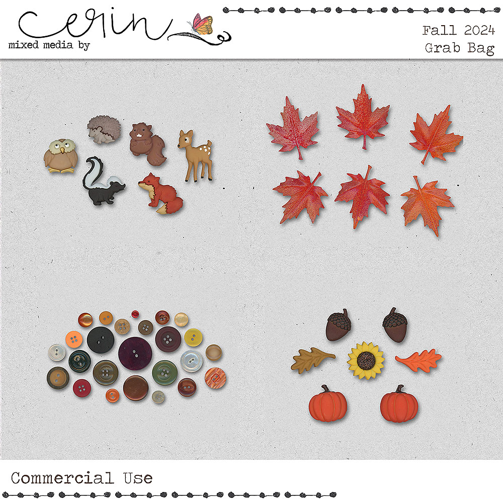 2024 Fall CU Grab Bag By Mixed Media by Erin