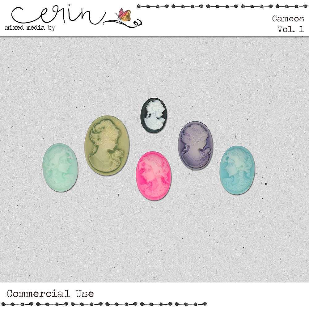 Cameos Vol 1 (CU) by Mixed Media by Erin