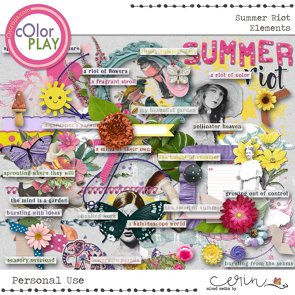 Summer Riot {Elements} by Mixed Media by Erin