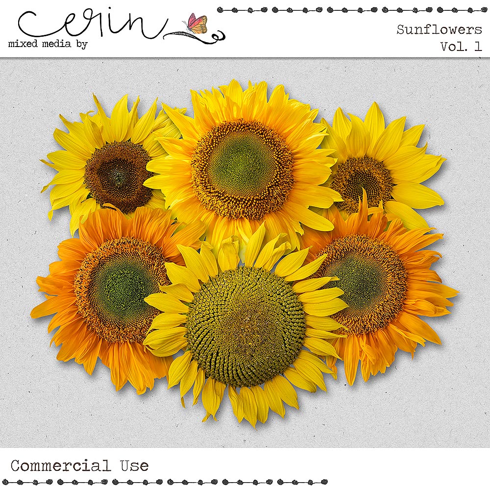 Sunflowers Vol 1 (CU) By Mixed Media by Erin