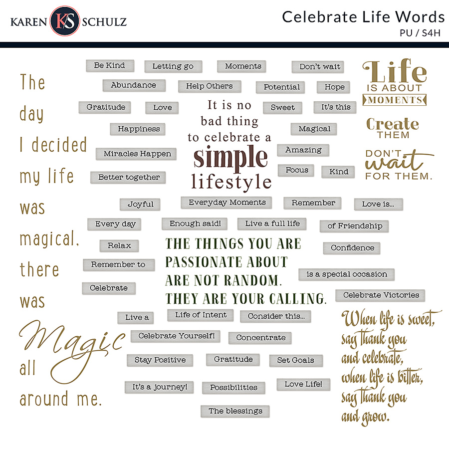 Celebrate Life Word Art