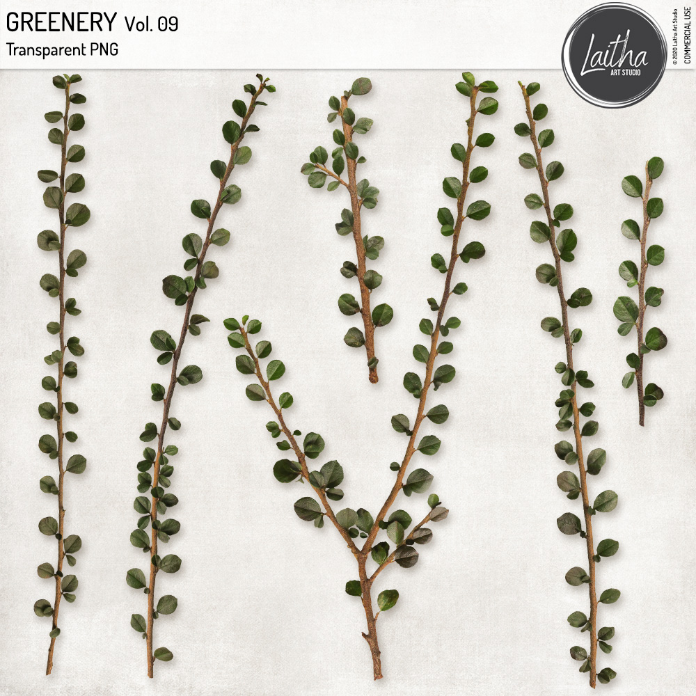 Greenery Vol. 09