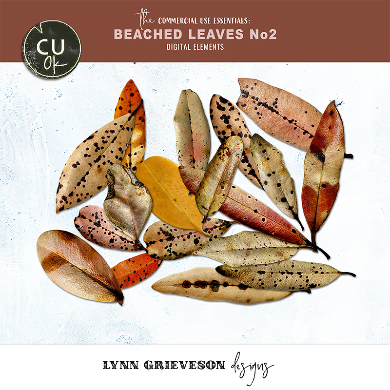 Beached Leaves No2 CU elements by Lynn Grieveson