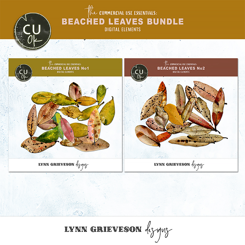 Beached Leaves Bundle CU elements by Lynn Grieveson