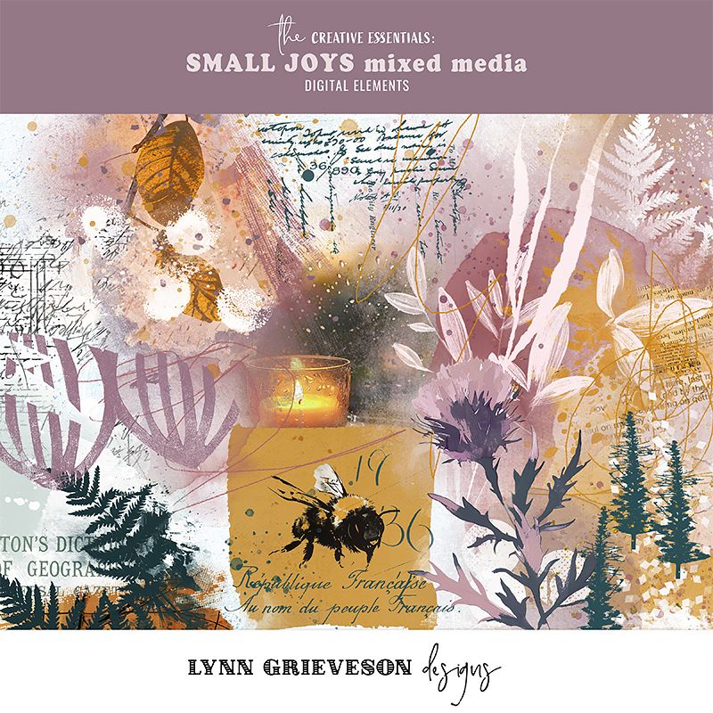 Small Joys Mixed Media by Lynn Grieveson