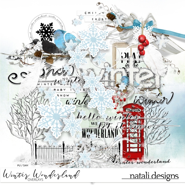 Winter Wonderland Overlays