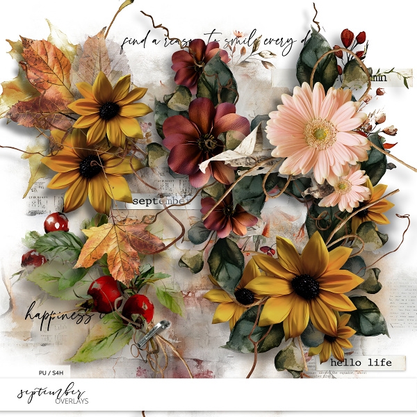 September Overlays