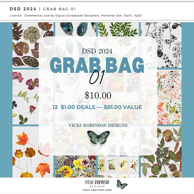 2024 DSD Dollar Days Super Saver Grab Bag 01 