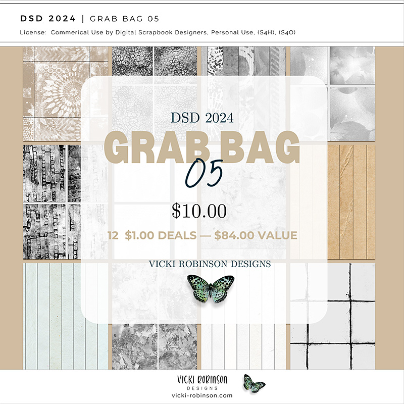 2024 DSD Dollar Days Super Saver Grab Bag 05