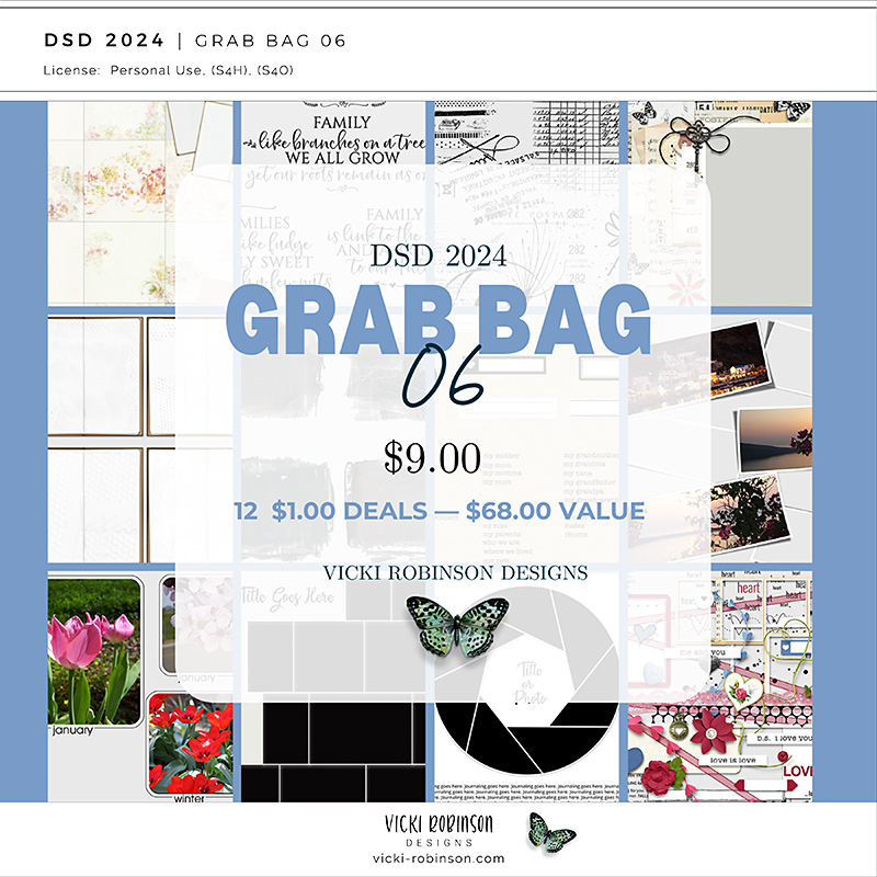 2024 DSD Dollar Days Super Saver Grab Bag 06