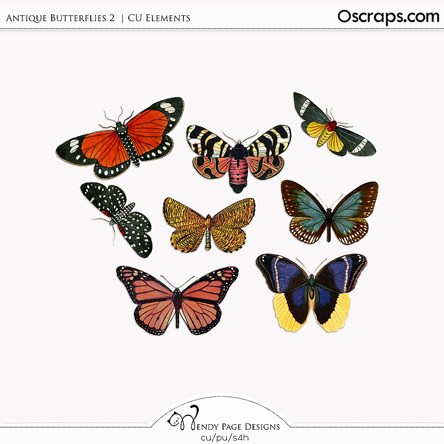 Antique Butterflies 2 (CU) by Wendy Page Designs