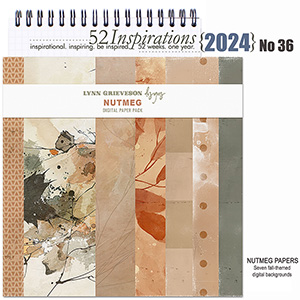 52 Inspirations 2024 No 36 Nutmeg Papers by Lynn Grieveson