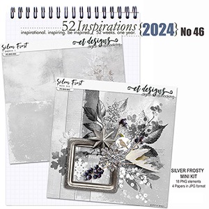 52 Inspirations 2024 No 46 Silver Frost by et designs