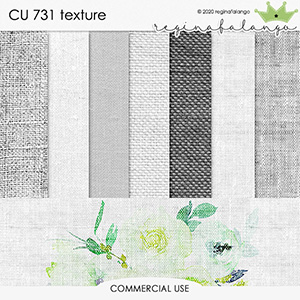 CU 731 TEXTURE