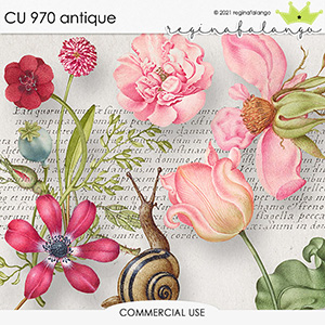 CU 970 ANTIQUE