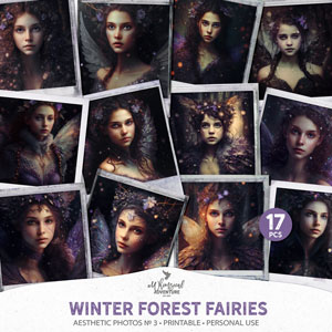 Aesthetic Photos No 3 Winter Forest Fairies