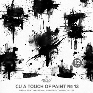 CU A Touch Of Paint No 13 Urban Splats