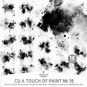 CU A Touch Of Paint No 18 Artistic Splatter Accents