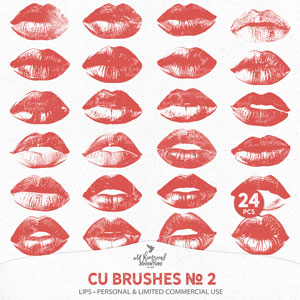 CU Brushes No 2 Lips