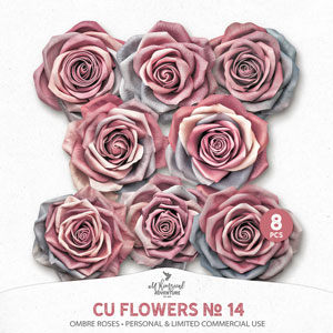 CU Flowers No 14 Ombre Roses