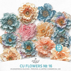 CU Flowers No 16 Splendiferous