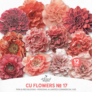 CU Flowers No 17 Pink And Red Blooms