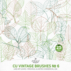 CU Vintage Brushes No 6 Line Art Leaves