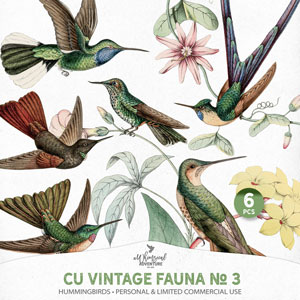 CU Vintage Fauna No 3 Hummingbirds