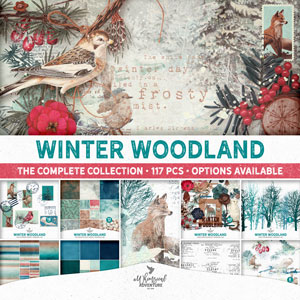 Winter Woodland