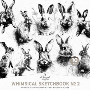 Whimsical Sketchbook No 2 Rabbits