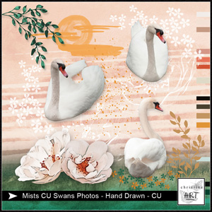 Mists CU Swans Photos hand drawn by Christine Art