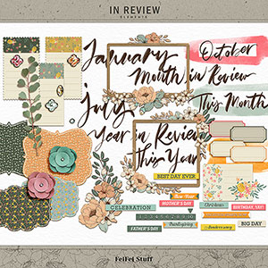 In Review Element Pack by FeiFei Stuff